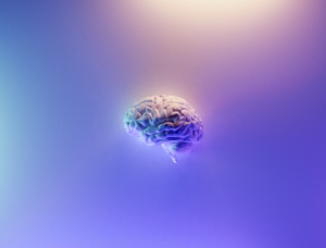 A side view of a human brain on a purple background